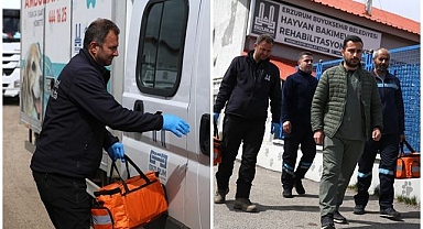 Erzurum’da sahipsiz köpeklerle mücadele, 112 ihbar sistemi etkili oldu