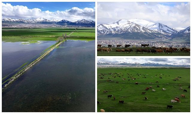 Erzurum'un bir yanı kar, bir yanı bahar