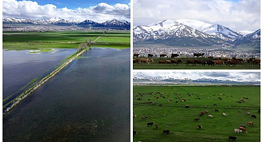 Erzurum'un bir yanı kar, bir yanı bahar