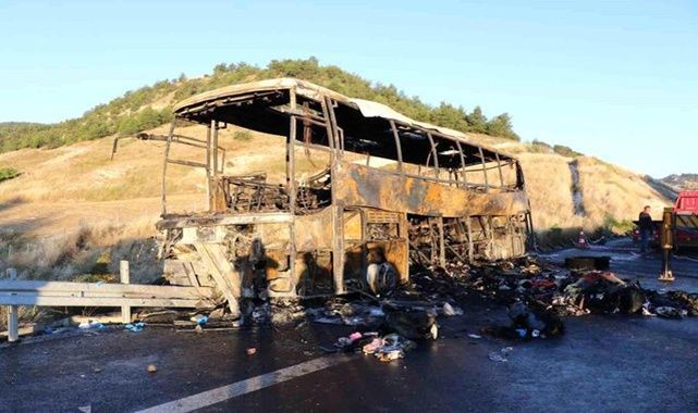 Facianın büyüklüğünü gözler önüne seren kare...