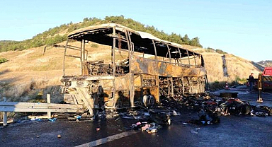 Facianın büyüklüğünü gözler önüne seren kare...