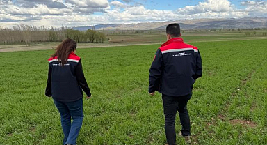 Hububat ekili alanlarda hastalık ve zararlı kontrolü yapıldı