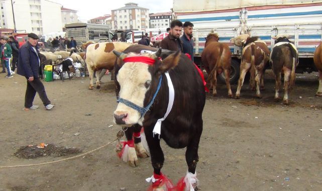 İhtişamıyla pazarın gözdesi oldu