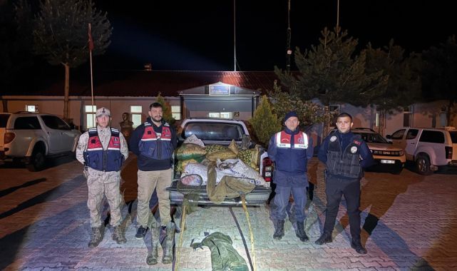 İnci kefali avına jandarma baskını: 630 kilo balık ele geçirildi