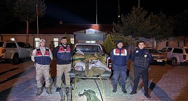 İnci kefali avına jandarma baskını: 630 kilo balık ele geçirildi
