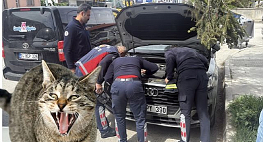 İtfaiye saatlerce uğraştı, anne kedi gelip 
