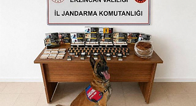 Jandarma operasyonlarında uyuşturucu ve terör suçlarına darbe