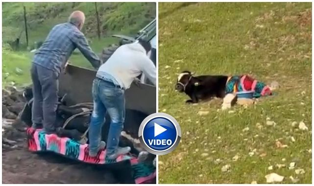 Kayboldu zannettiler! Çamura saplanmış halde bulundu