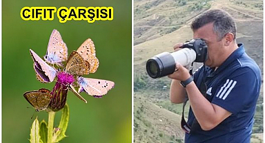 Kelebekler uçtu, turlar kondu!