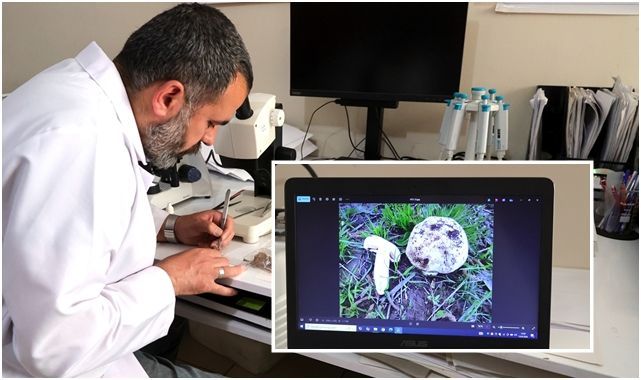 Kırsaldaki tehlike, 36 türü zehirli