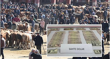 Kurban alışverişinde dolandırılmayın!