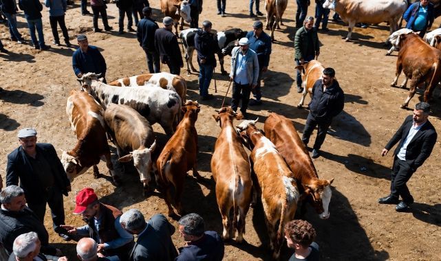 Kurban pazarı hareketlendi! Sevkiyatlar arttı   