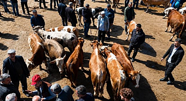 Kurban pazarı hareketlendi! Sevkiyatlar arttı   
