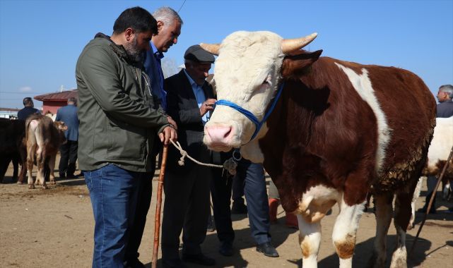 Kurban pazarlarında haraketlilik başladı