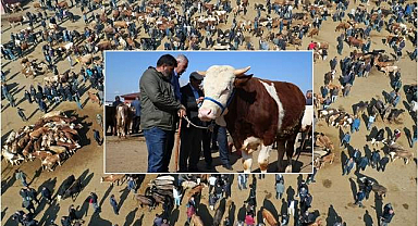 Kurban pazarlarında haraketlilik başladı