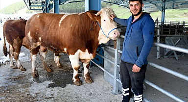 Kurbanlık pazarlarında sıkı pazarlık