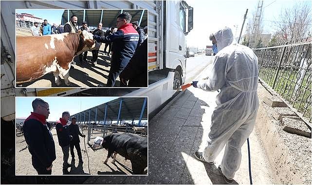 Kurbanlık sevki öncesi sıkı denetim