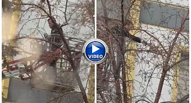 Mahsur kalan güvercin için seferber oldular
