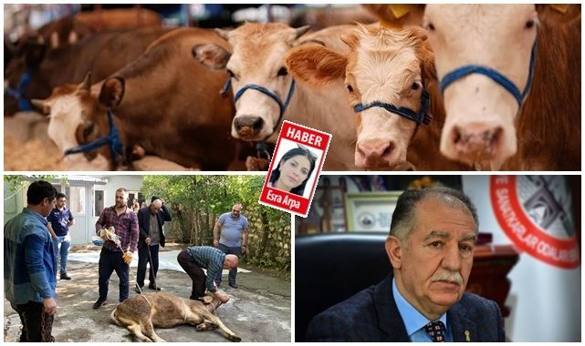 Merdiven altı kasaplara dikkat