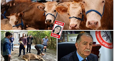 Merdiven altı kasaplara dikkat
