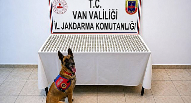 Midelerinden kilolarca esrar çıktı! Görenler şaştı kaldı