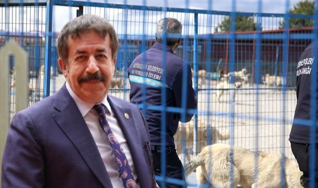 Milletvekili Fırat'tan çağrı: 