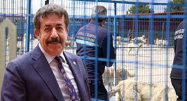 Milletvekili Fırat'tan çağrı: 