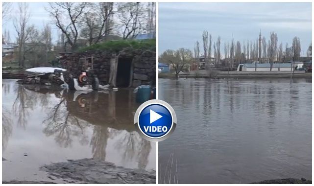 Möküz Çayı taştı! Evler ve ahırlar sular altında kaldı   