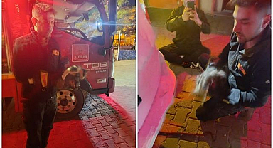 Motor bölümüne sıkışan kedi kurtarıldı