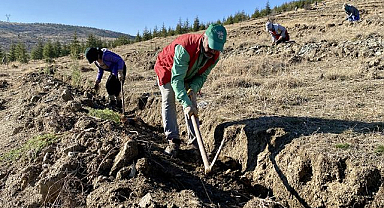 Oltu’da erozyonla mücadele için ihale süreci başladı