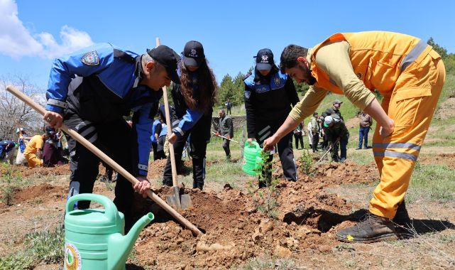 Orman için el ele: Temizlik ve fidan seferberliği