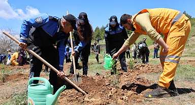 Orman için el ele: temizlik ve fidan seferberliği