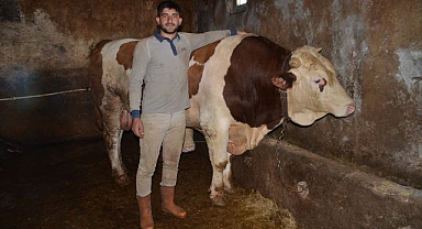Pazarın gözdesi 