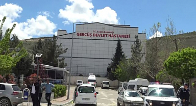Piknikte akrep sokan kadın hastanelik oldu   