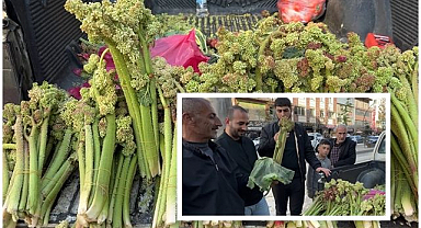 Şifalı bitki tezgahlarda yoğun ilgi görüyor