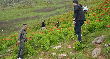 Ters lalelere sıkı koruma önlemi