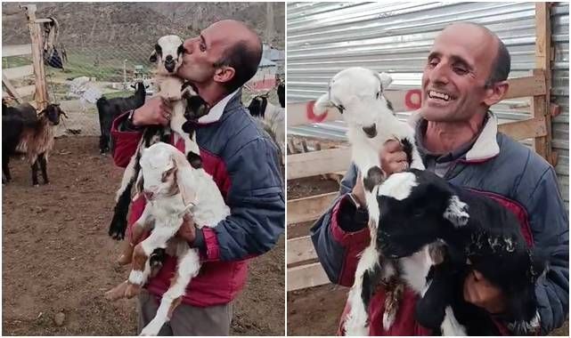 Tortum'lu fenomen çobanın oğlak sevgisi
