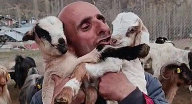 Tortum'lu fenomen çobanın oğlak sevgisi