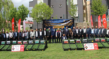 Üreticilere 361 bin sebze fidesi dağıtıldı