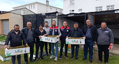 Üreticilere sebze fidesi desteği verildi
