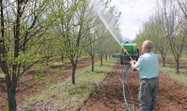 Yağış sonrası meyve üreticilerine ilaçlama uyarısı
