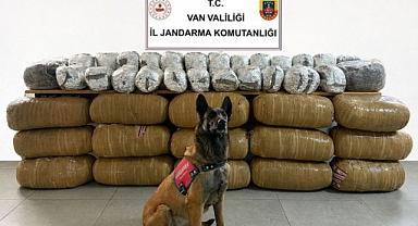 Yarım tona yakın uyuşturucu ele geçirildi   