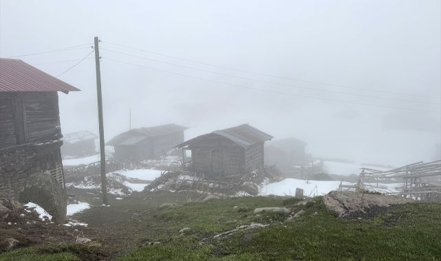 Yüksek kesimlerde mayıs sonunda kar etkili oldu