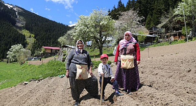 Zorlu coğrafyada doğal tarım mesaisi