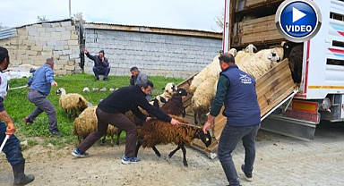 Zorlu yayla yolculuğu başladı