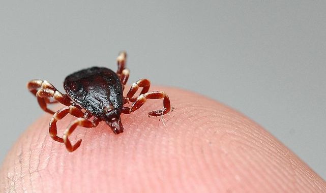 5 kişi aynı nedenden öldü! Kentte alarm verildi