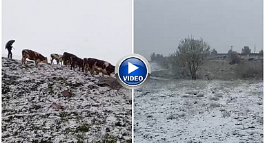 Aniden bastıran kar çobanlara zor anlar yaşattı 