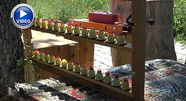 Arı sütündeki kalite farkının sırrı bilimsel araştırmayla çözüldü