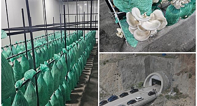 Atıl tünel mantar üretim merkezi oldu