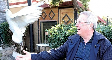 Aziz Yıldırım, güvercin bakacak